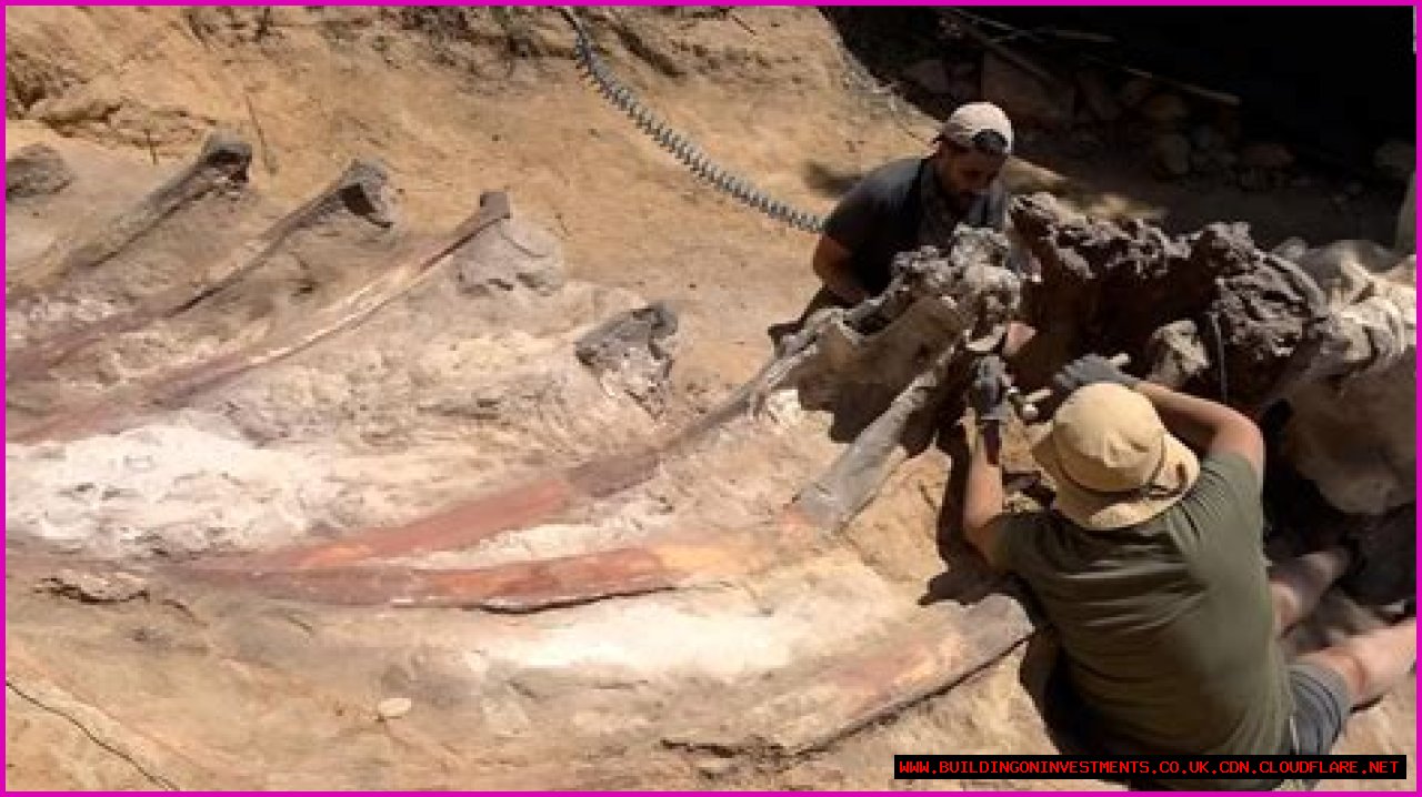 Digging Deep Into The Abby Berner Leaks: Uncovering Secrets And Consequences